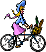 biciclette 6
