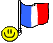 bandiera francia 10