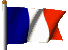 bandiera francia 14
