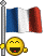 bandiera francia 15