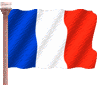 bandiera francia 25
