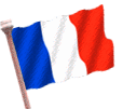 bandiera francia 26