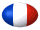 bandiera francia 5