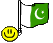 bandiera pakistan 3