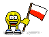bandiera polonia 5