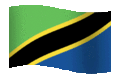 bandiera tanzania 13