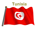 bandiera tunisia 20