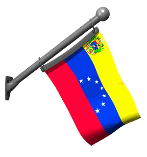 bandiera venezuela 25