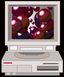 computers 77