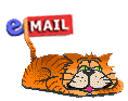 icona mail gatto 7