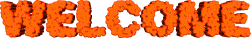 icona welcome 116