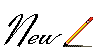 new 5