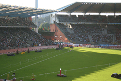 stadio