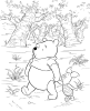 winnie the pooh