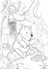 winnie the pooh