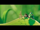 Bugs Life