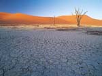 DESERTO