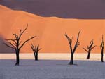 DESERTO