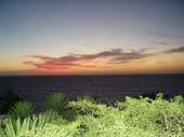 cielo rosa