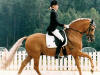 Dressage