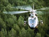 elicottero sui pini