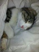 Immagine personale di Santa elera