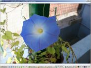 Immagine personale di Margherita