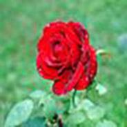 Immagine personale di Michela.davi