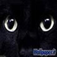 Immagine personale di Biba65