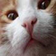 Immagine personale di Laura84b