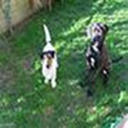 Immagine personale di Mammagiulietta