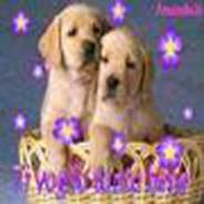 Immagine personale di Baby minni