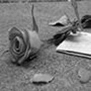 Immagine personale di Streghetta77