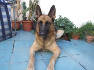 Immagine personale di Rosa