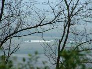 Immagine personale di Catherine