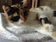 Immagine personale di Linda