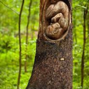 Immagine personale di Arjeta