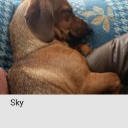 Immagine personale di Jessica