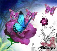 Immagine personale di Francesca trovato