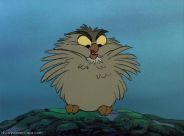 Immagine personale di Ilaria