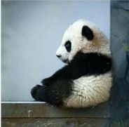 Immagine personale di Giovanna