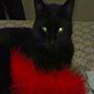 Immagine personale di Miki67