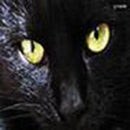 Immagine personale di Stefy_90