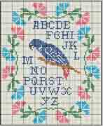 Schema alfabeto  Pappagallo