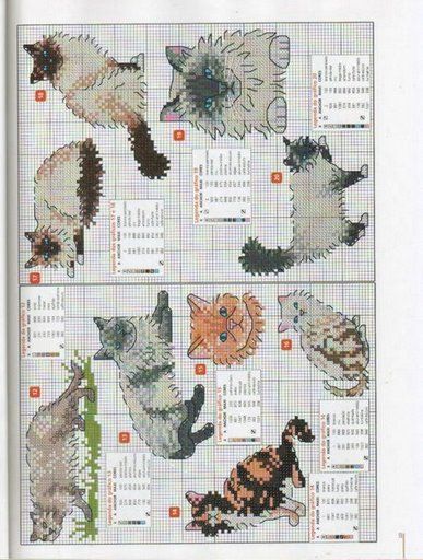 Schema punto croce Gatti Siamesi 2