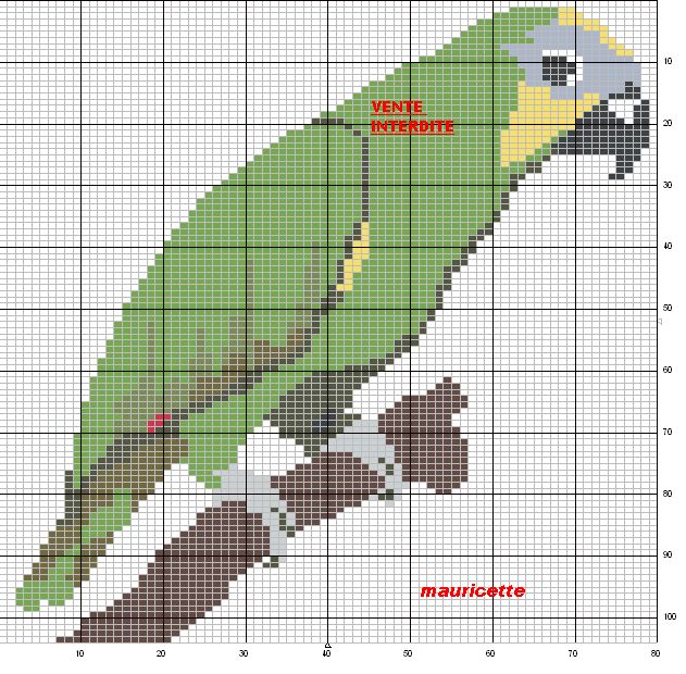 Schema punto croce Pappagallo 3