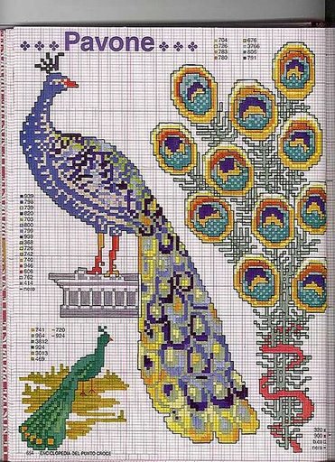 Schema punto croce Pavone B