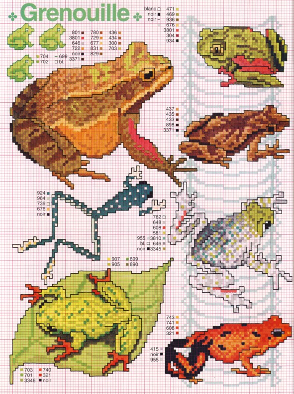 Schema punto croce Rane Grandi