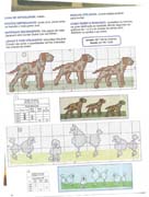 Schema punto croce Cane Barboncino