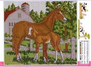 Schema punto croce Cavalli1